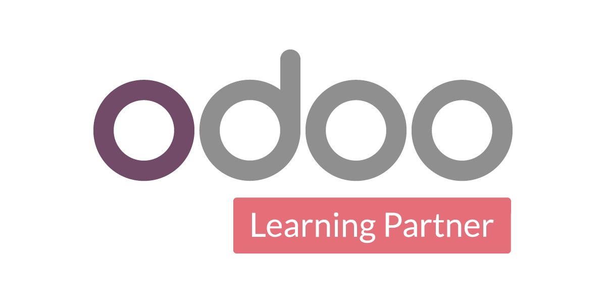 partner de odoo en Talavera Toledo Madrid